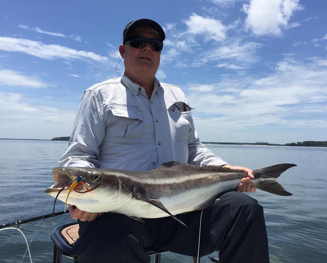Blog - 2017 Cobia Season Report Beaufort, SC - Fishing